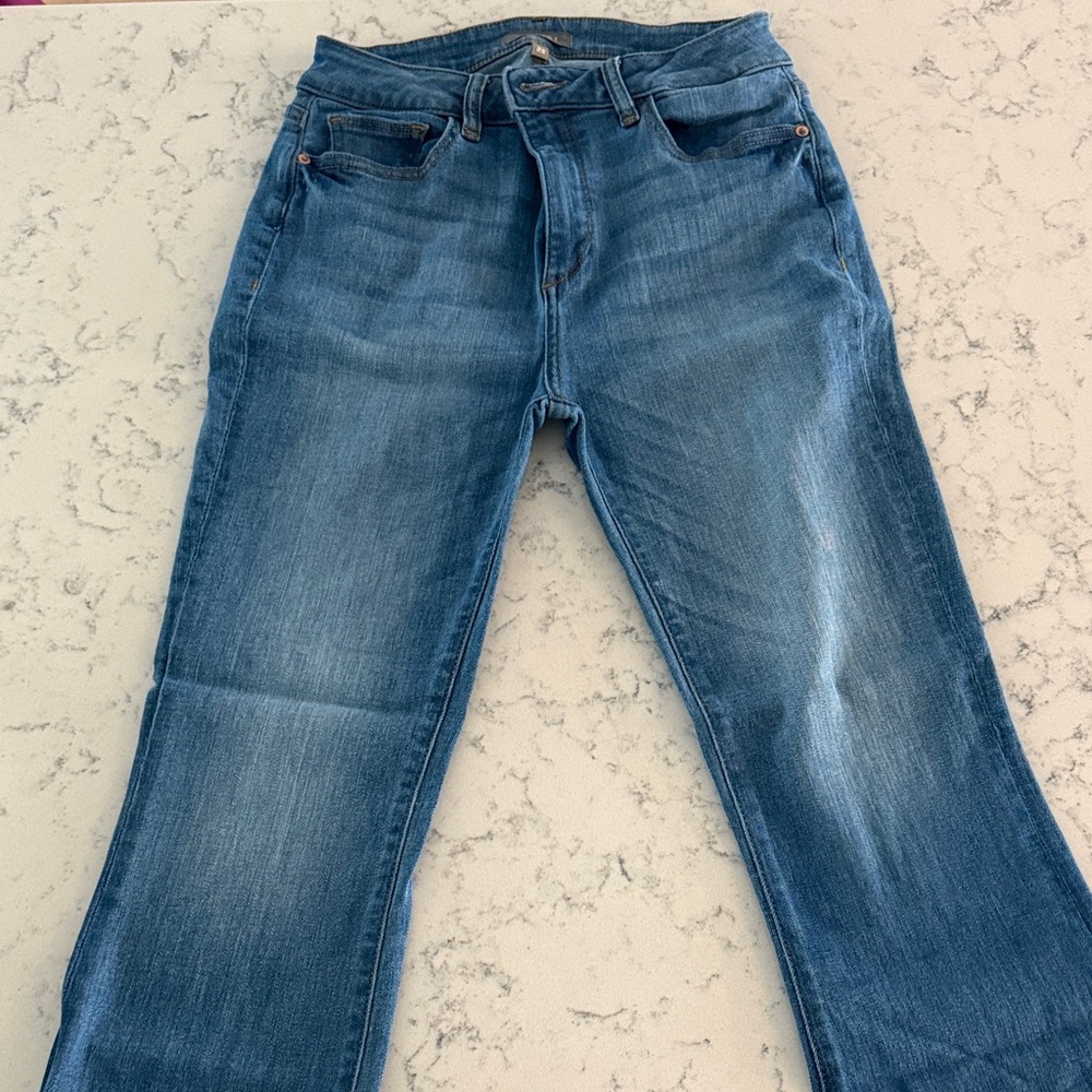 Classic Blue Women's Jeans by DL1961 size 28 Bridget Cropped